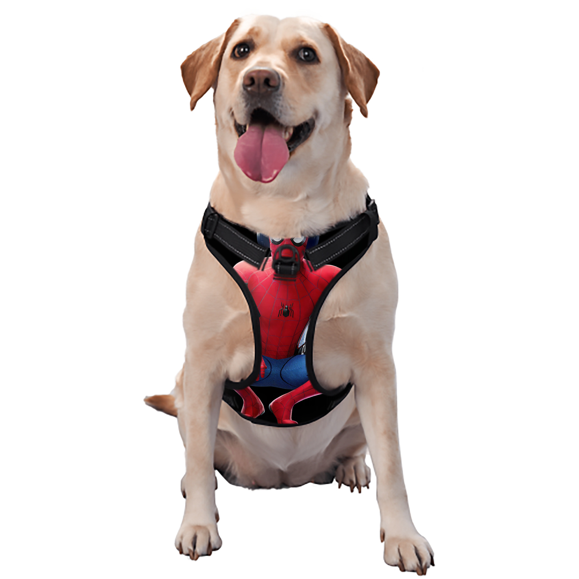 （画像用） Spider Man スパイダーマン ペット用ハーネス